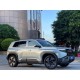 Leopard 3 Ultra 4 wd Grey